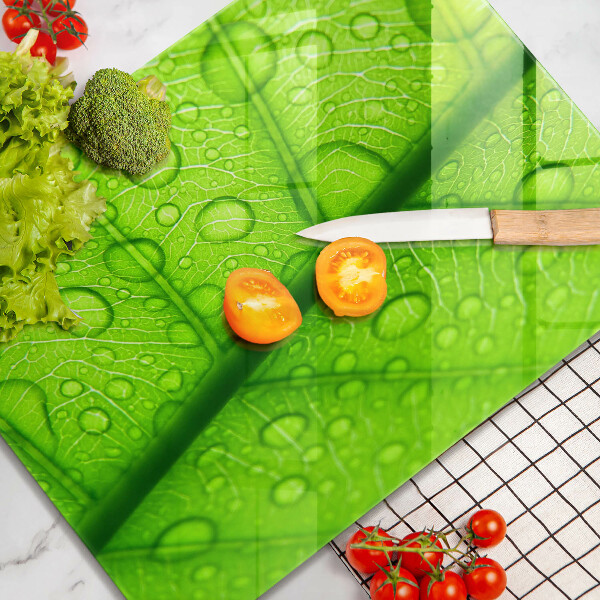 Zaščitna plošča za štedilnik Bližnji posnetek lista