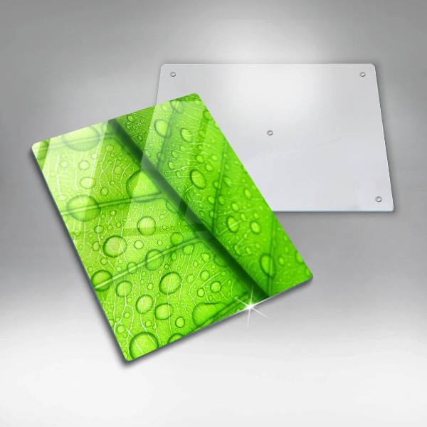 Zaščitna plošča za štedilnik Bližnji posnetek lista