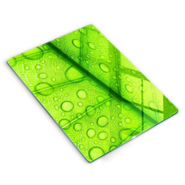 Zaščitna plošča za štedilnik Bližnji posnetek lista