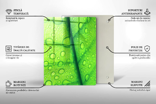 Zaščitna plošča za štedilnik Bližnji posnetek lista