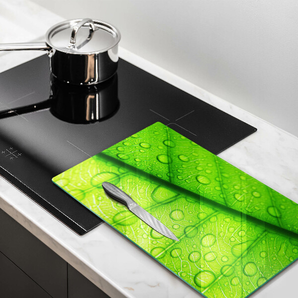 Zaščitna plošča za štedilnik Bližnji posnetek lista