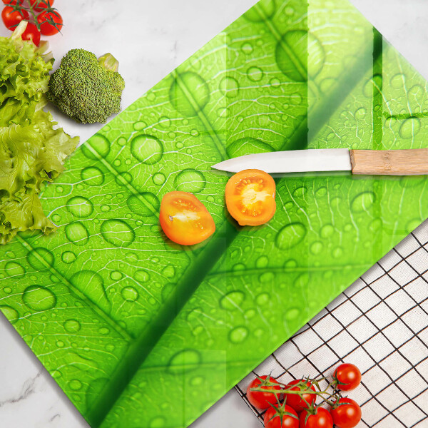 Zaščitna plošča za štedilnik Bližnji posnetek lista