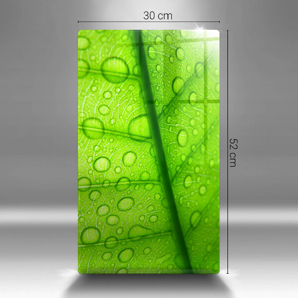 Zaščitna plošča za štedilnik Bližnji posnetek lista