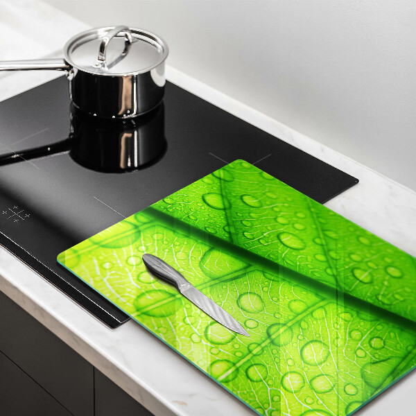 Zaščitna plošča za štedilnik Bližnji posnetek lista