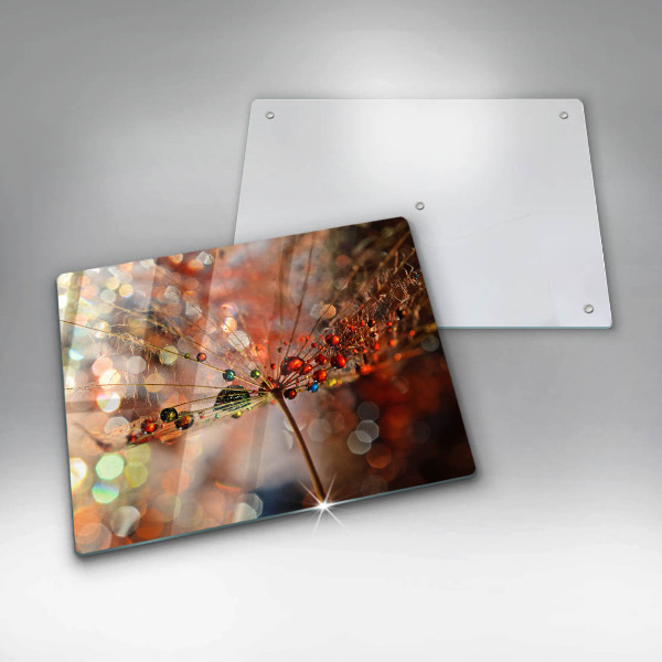 Zaščitna plošča za štedilnik Moker regrat