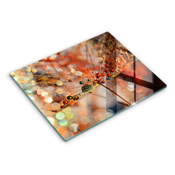 Zaščitna plošča za štedilnik Moker regrat