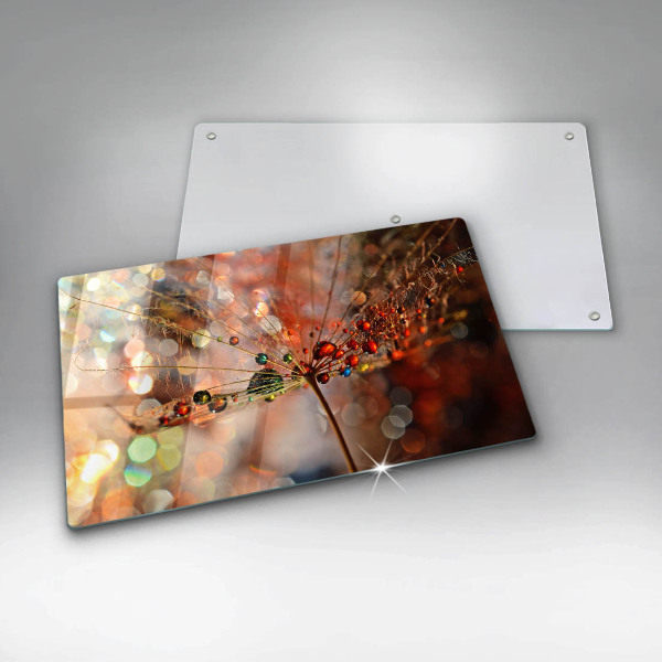 Zaščitna plošča za štedilnik Moker regrat