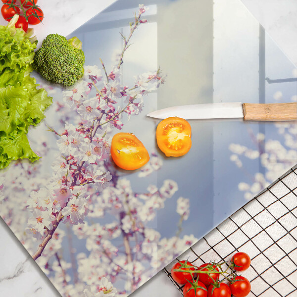 Zaščitna plošča za štedilnik Cvetoče drevo