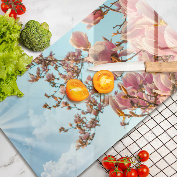 Zaščitna plošča za štedilnik Drevo rožnatih cvetov