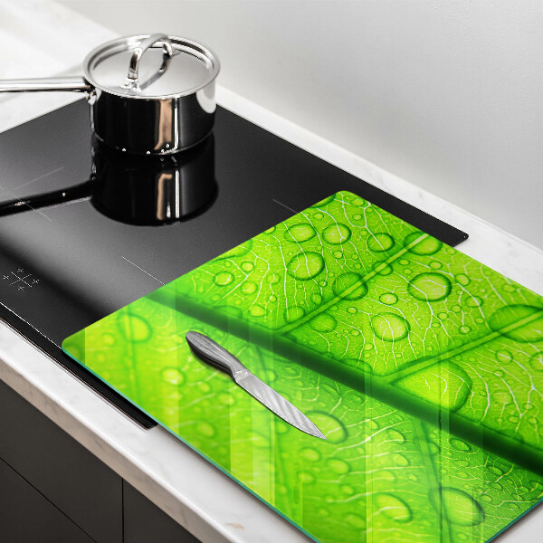 Zaščitna plošča za štedilnik Bližnji posnetek lista