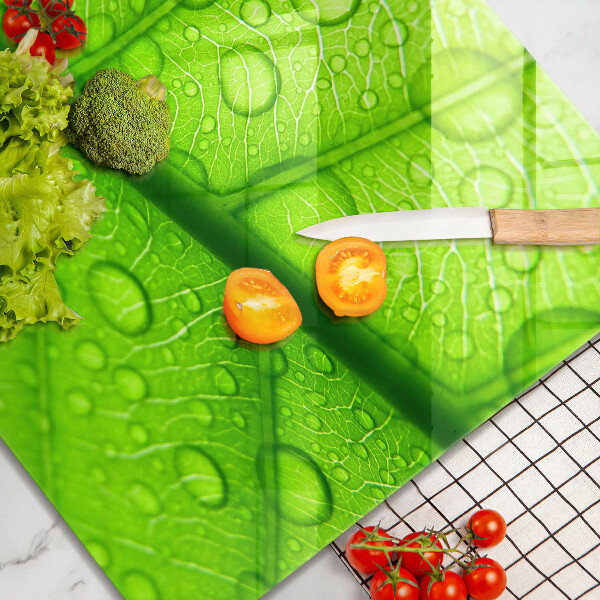 Zaščitna plošča za štedilnik Bližnji posnetek lista