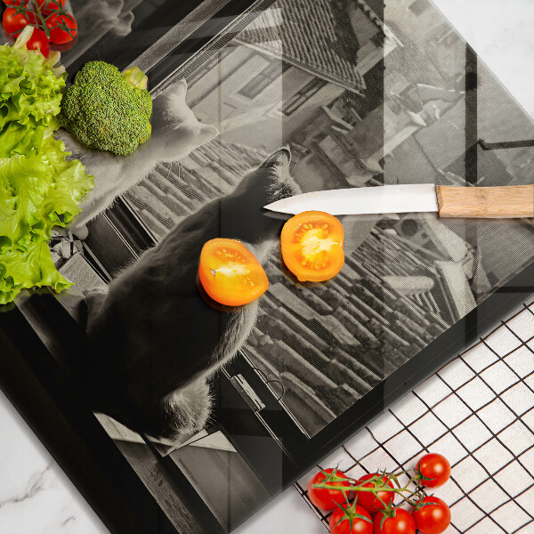 Zaščitna plošča za štedilnik Mačje mesto in okno