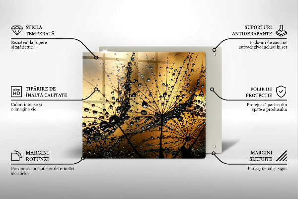Zaščitna plošča za štedilnik Rosa in regrat