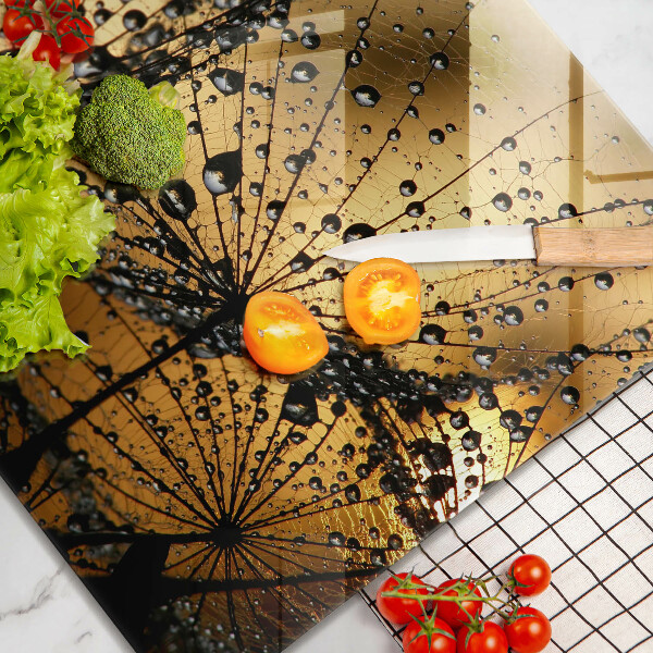 Zaščitna plošča za štedilnik Rosa in regrat