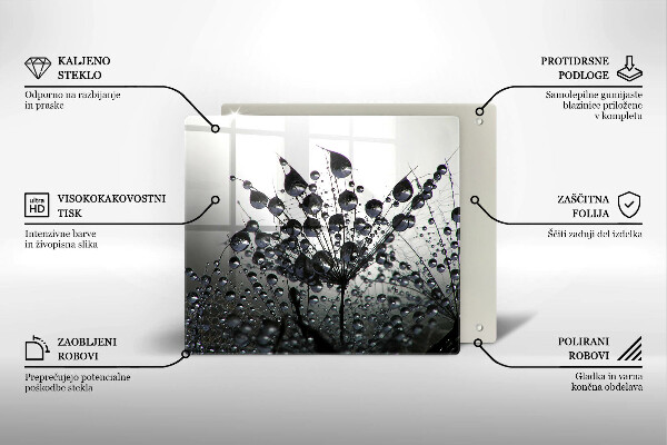 Zaščitna plošča za štedilnik Regrat in rosa