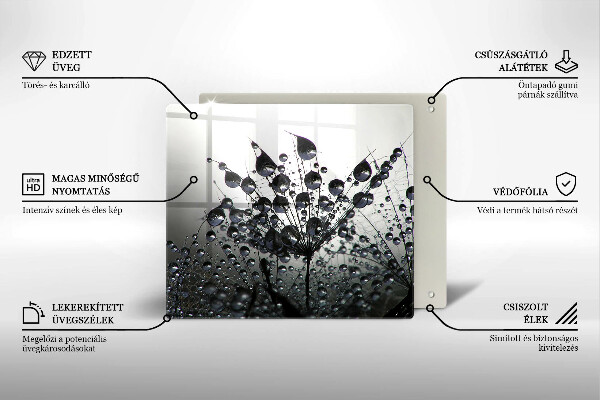 Zaščitna plošča za štedilnik Regrat in rosa