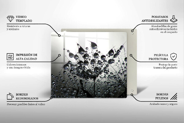 Zaščitna plošča za štedilnik Regrat in rosa