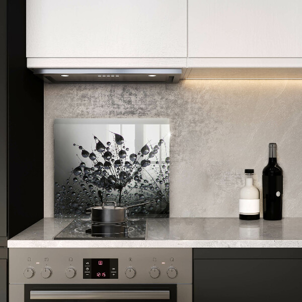 Zaščitna plošča za štedilnik Regrat in rosa