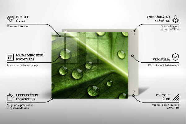 Zaščitna plošča za štedilnik Narava rosa in list