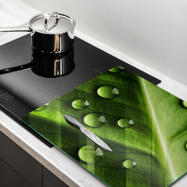 Zaščitna plošča za štedilnik Narava rosa in list