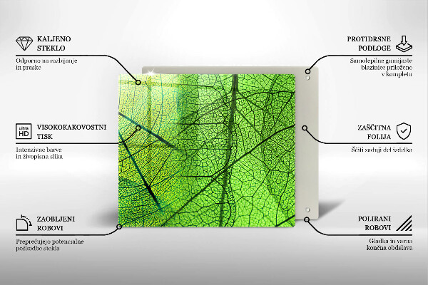 Stenska zaščitna plošča za štedilnik Naravne listne žile