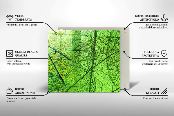 Stenska zaščitna plošča za štedilnik Naravne listne žile