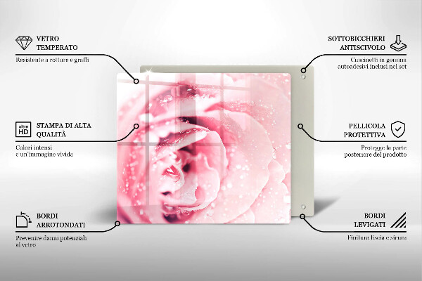Zaščitna plošča za štedilnik Rosne kapljice in cvet vrtnice