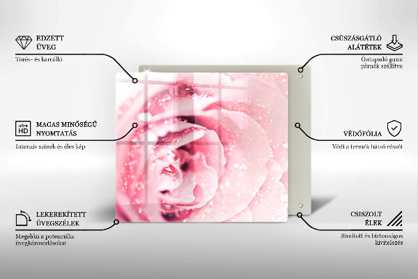 Zaščitna plošča za štedilnik Rosne kapljice in cvet vrtnice