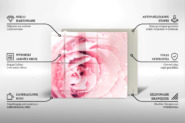 Zaščitna plošča za štedilnik Rosne kapljice in cvet vrtnice