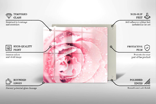 Zaščitna plošča za štedilnik Rosne kapljice in cvet vrtnice