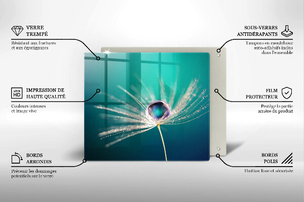 Stenska zaščitna plošča za štedilnik Rosa na regratu