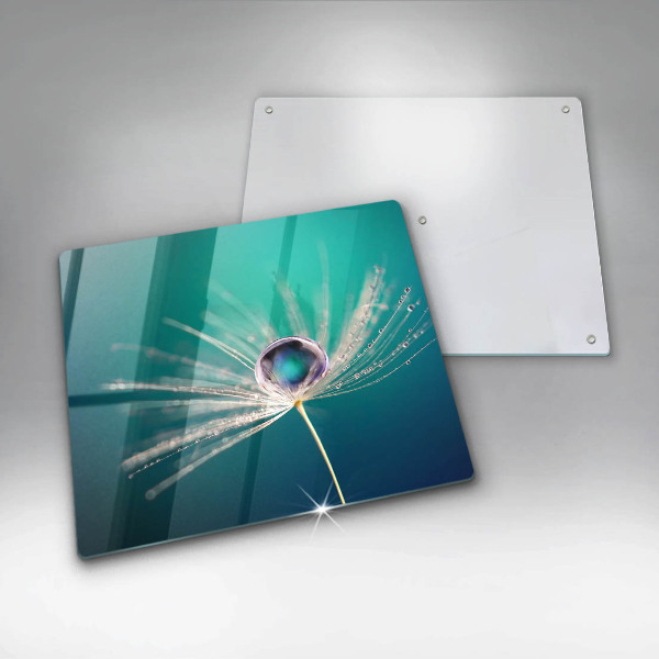 Stenska zaščitna plošča za štedilnik Rosa na regratu