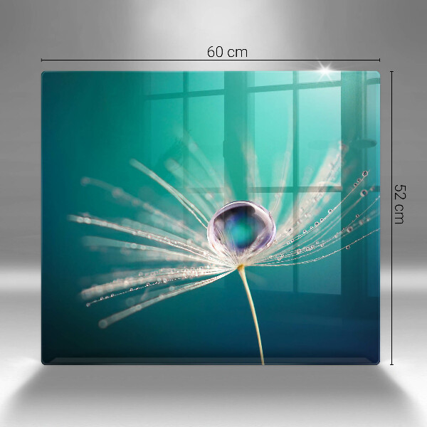 Stenska zaščitna plošča za štedilnik Rosa na regratu