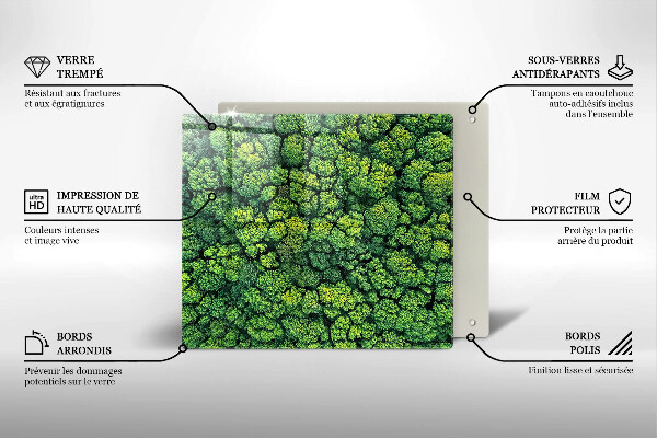 Zaščitna plošča za štedilnik Naravna rastlina mah