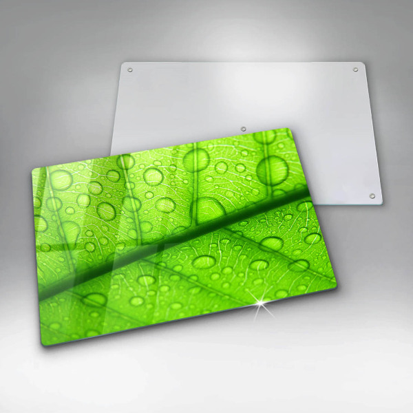 Zaščitna plošča za štedilnik Bližnji posnetek lista