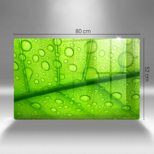 Zaščitna plošča za štedilnik Bližnji posnetek lista