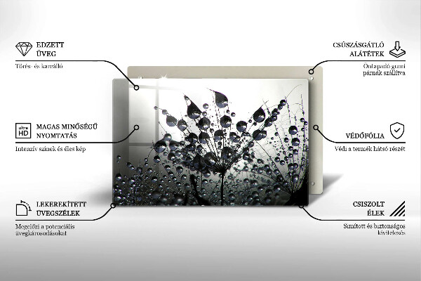 Zaščitna plošča za štedilnik Regrat in rosa