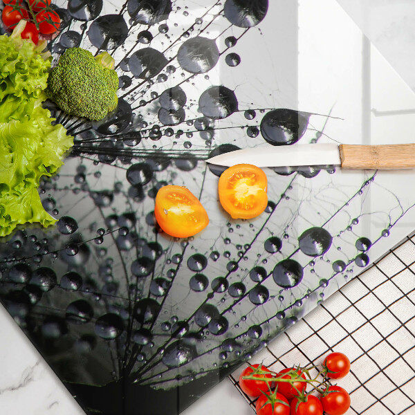 Zaščitna plošča za štedilnik Regrat in rosa