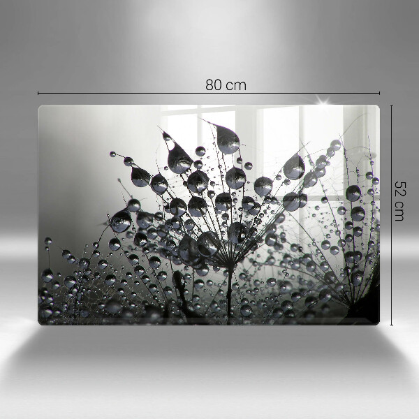 Zaščitna plošča za štedilnik Regrat in rosa