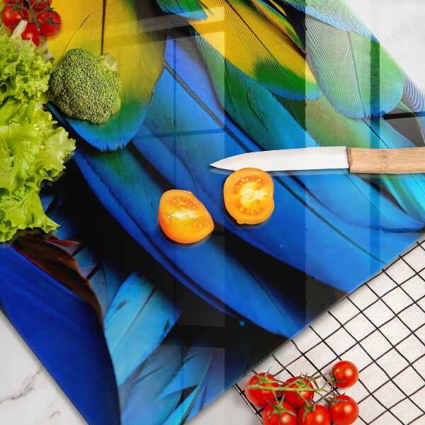 Zaščitna plošča za štedilnik Pisano perje papige