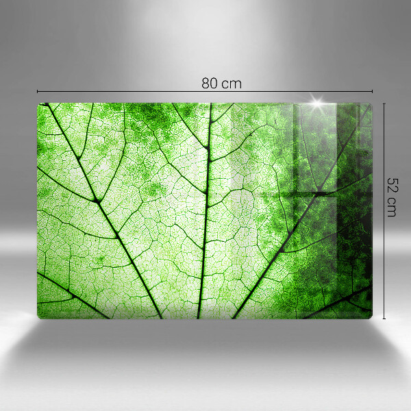 Zaščitna plošča za štedilnik Okrasni žilni list