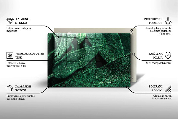 Zaščitna steklena plošča za štedilnik Listi rastline
