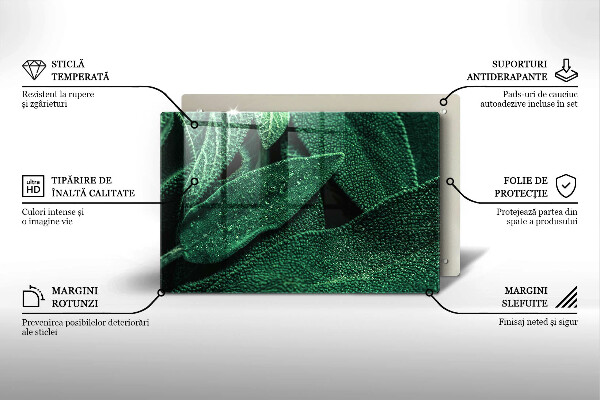Zaščitna steklena plošča za štedilnik Listi rastline