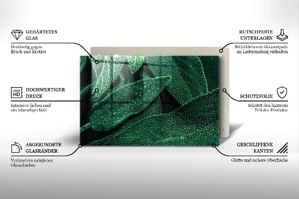 Zaščitna steklena plošča za štedilnik Listi rastline