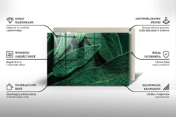 Zaščitna steklena plošča za štedilnik Listi rastline