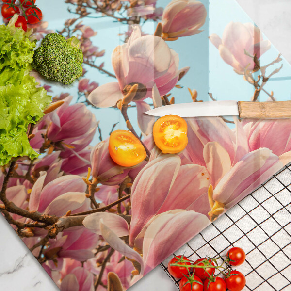 Zaščitna plošča za štedilnik Drevo rožnatih cvetov