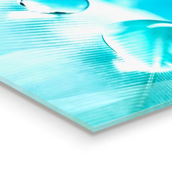 Zidna obloga za kuhinju Rosa na nežnem perju