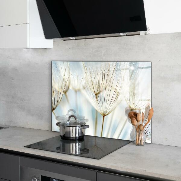 Zidna obloga za kuhinju Regrat regrat v vetru