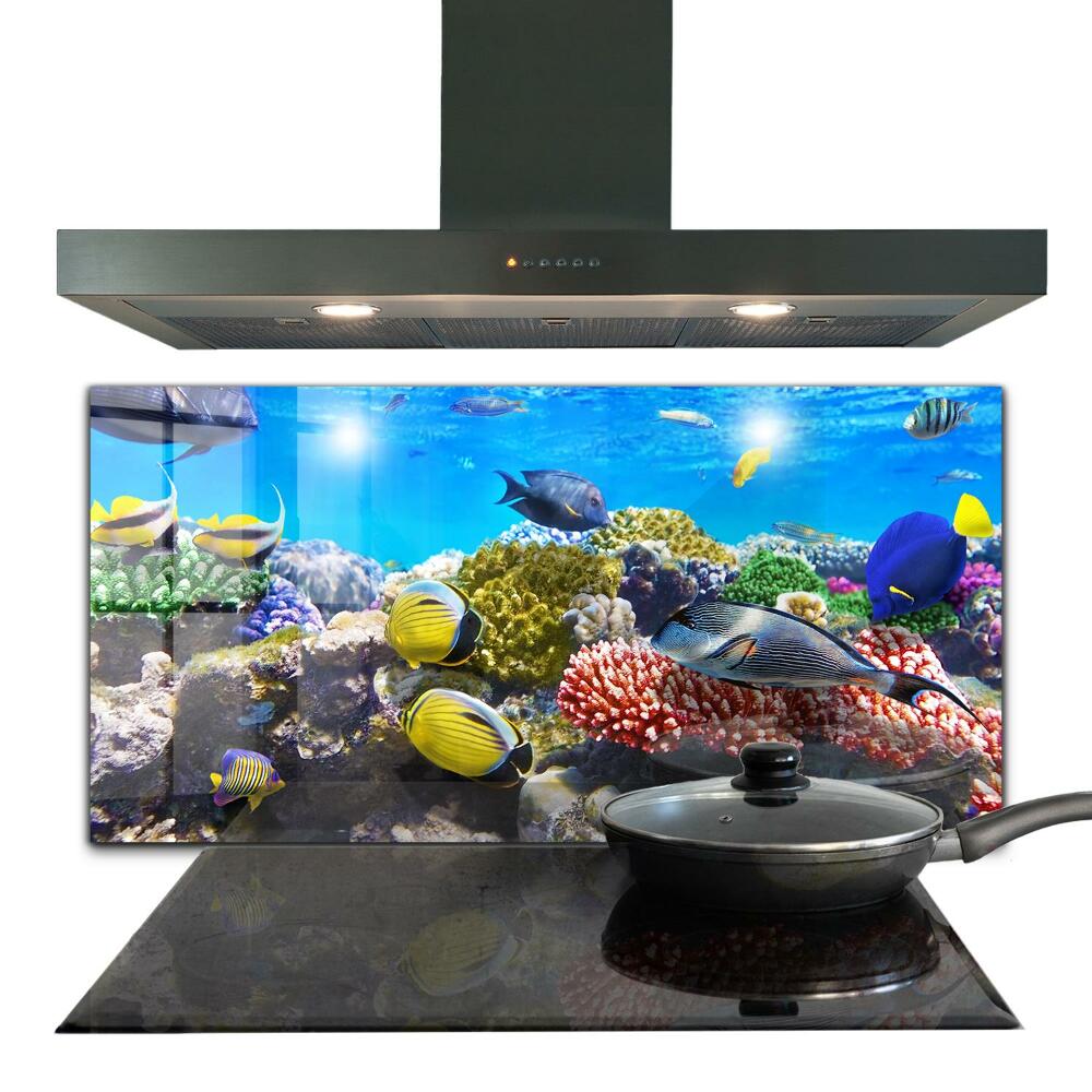 Stenska plošča za kuhinjo Koralni greben rdeče morje