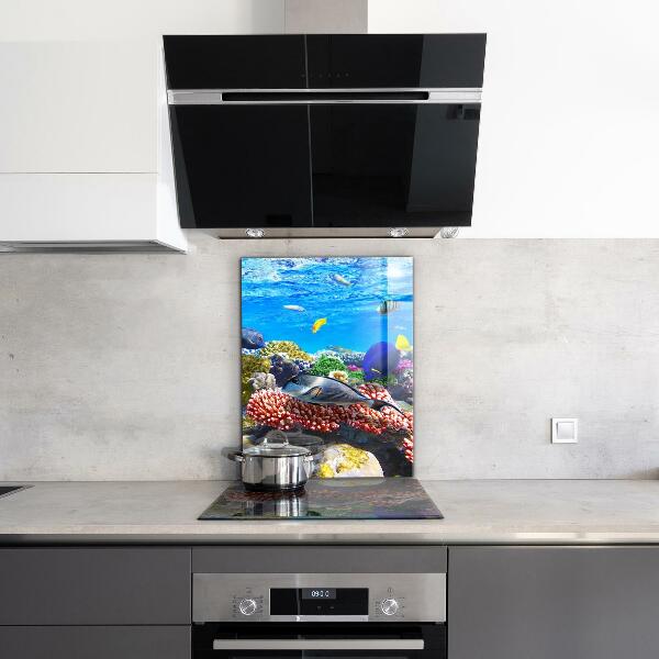 Stenska plošča za kuhinjo Koralni greben rdeče morje